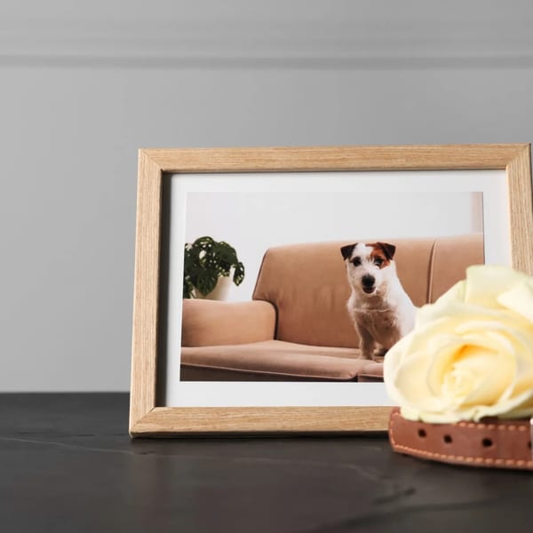 A memorial keepsake urn for a beloved pet