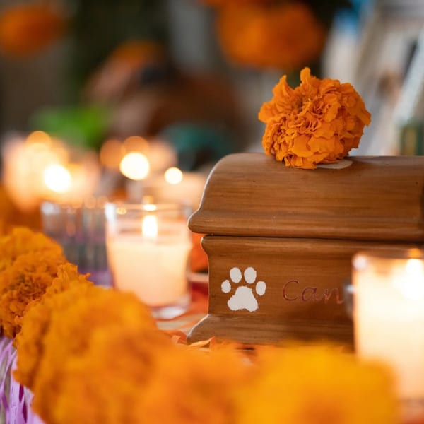 A softly glowing candle representing private cremation